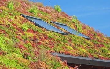 Culverthorpe living roof systems